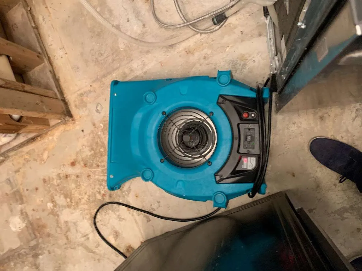 Air mover drying equipment for Mold Remediation & Removal in North Bend